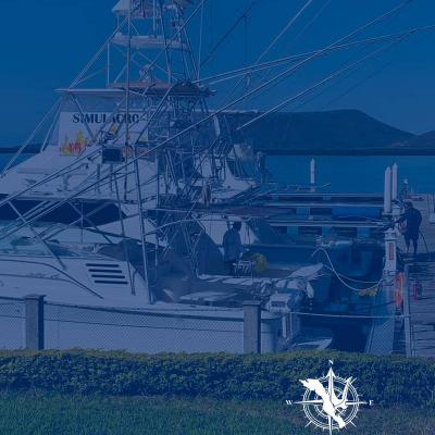 Biotecnología Asesores Técnicos Reunión 2024