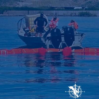 Biotecnología Asesores Técnicos Reunión 2024